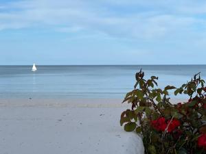 Maisons de vacances Maison les pieds dans l'eau : photos des chambres