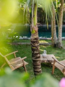 Villa Why Not at Bingin