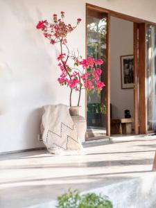 Villa Why Not at Bingin