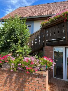 Vojnův Městec Dům s vůní dřeva