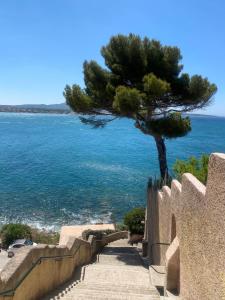 Appartements Casa Paloma : photos des chambres