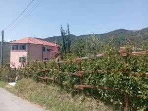 LA TANA DELLA VOLPETTA - Bed & Breakfast - Pontinvrea