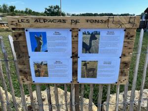 Maisons de vacances Gite La Borie : photos des chambres