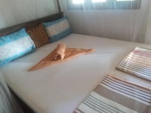 Ocean view kite surfing school