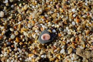 Agriturismo Costa Verde img57