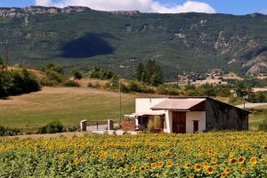 Maisons de vacances La Bargine : photos des chambres