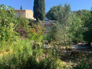 B&B / Chambres d'hotes GinKgo : photos des chambres