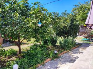 Two Bedroom Apartmant Marijano with Garden