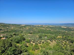 Appartamento con 2 camere in borgo medievale