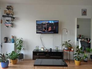 Appartements Appartement neuf proche Paris et Disneyland - Wifi : photos des chambres