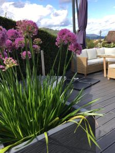 Appartements Les hortensias en Alsace - meuble de tourisme 3 etoiles : photos des chambres