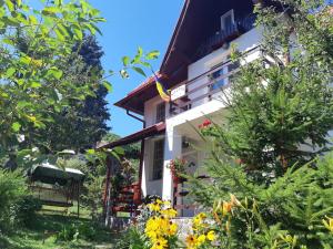 Vila Mikdonia - Predelut Home