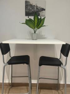 Estudio Boutique centro Santa Cruz