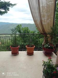 Άγρια Λούλουδα Κατοικία Αρμονία