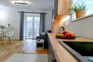 nowy Rustykalny apartament z tarasem - Willa Sowia