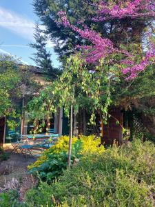 Maisons de vacances Les Hauts de Jeanvert - Le Bouleau - Piscine - Gaillac : photos des chambres