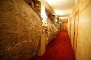 Hotels Hotel Le Cro-Magnon : photos des chambres