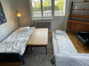 Stor etta på lugna söder