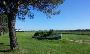 Campings Entre mer et Petite Camargue, 2 Chbres, climatise, au calme : photos des chambres