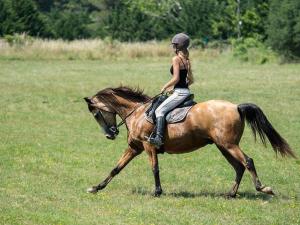 Campings Entre mer et Petite Camargue, 2 Chbres, climatise, au calme : photos des chambres