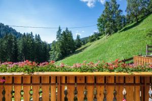 Bachwiesl Hof Apt Ocker