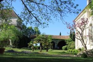 L'horta photo 15
