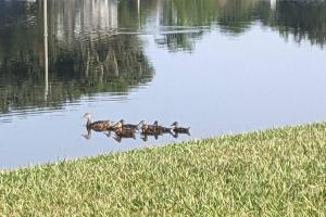 Port Saint Lucie A Little Piece Of Heaven- Peaceful Lake view Apartment- 1 min from I95 and Turnpike