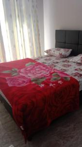 AAA, Surya Indah, Pananjakan Bromo Villa, Managed by Triple A Tour, Additional Bromo Sunrise Jeep Tour and Airport Shuttle