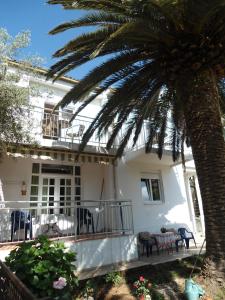 Guest House Vila Bak