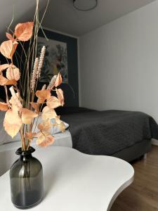 Boutique Hotel VIVA CREATIVO