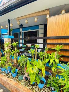 Paulas Tagaytay Transient House