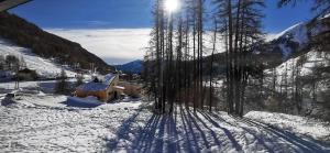 Appartements La Foux d'Allos : Studio Cosy au pied des pistes vue montagne : photos des chambres