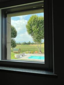King Room with Pool View