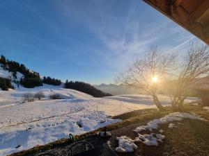 Chalets Chalet le Bois de Cerf : photos des chambres