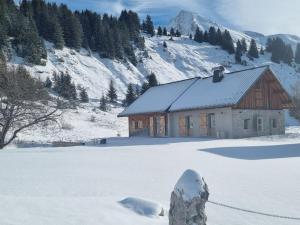 Chalets Chalet le Bois de Cerf : photos des chambres