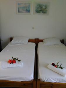 Pantelatos Studios Kefalloniá Greece