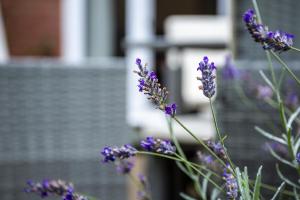 Beautiful House in Stratford upon Avon