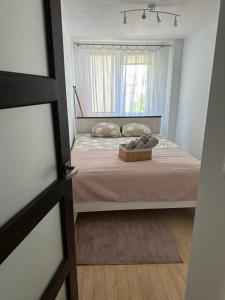 Apartament Zasanie Przemyśl
