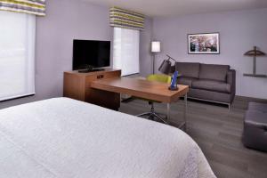 King Studio Suite - Non-Smoking room in Hampton Inn & Suites Carson City