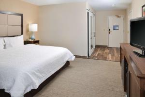 King Room - Mobility Access/Non-Smoking room in Hampton Inn Carbondale