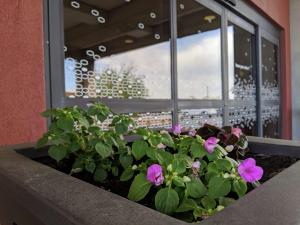Hampton Inn & Suites Cincinnati-Centre