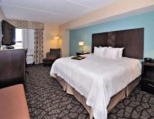 King Room with King Bed - Non-Smoking room in Hampton Inn Eden