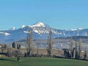 Appartements Logement lumineux au calme avec vue sur Mont-blanc : photos des chambres