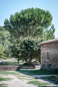 Maisons de vacances Le Pas des Lanciers : photos des chambres