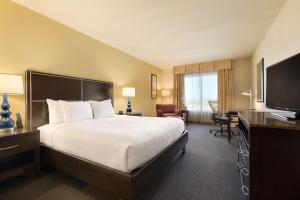 Executive King Room room in Hilton Garden Inn Houston NW America Plaza