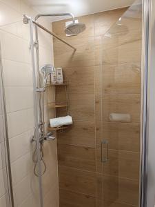 Studio apartman Krležina