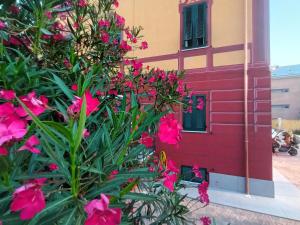 AFFITTACAMERE SobborgoSpina47