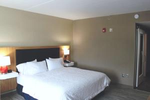 King Room with Roll-In Shower - Mobility Access/Non-Smoking room in Hampton Inn Forsyth
