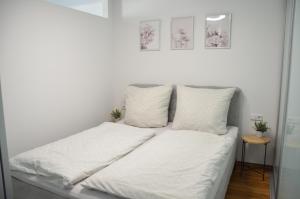 See- und Bergblick Oberteuringen 59