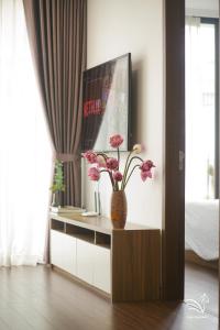 Pegasy Apartments & Travel